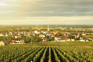 Domaine Alain Patriarche